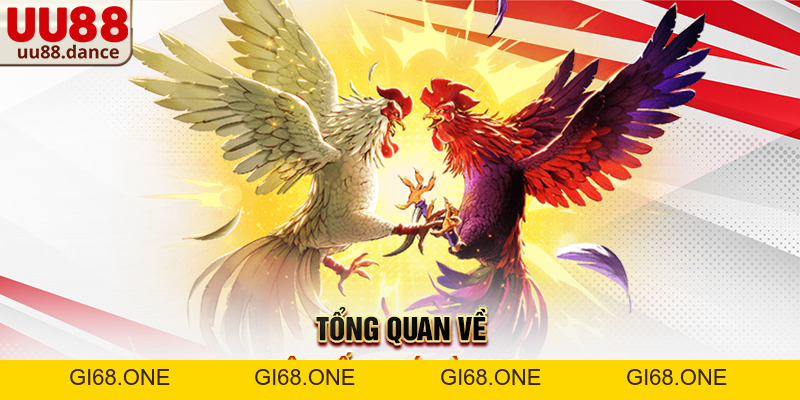 Đá Gà UU88 – Không gian giải trí trực tuyến trực quan và ổn định - gi68